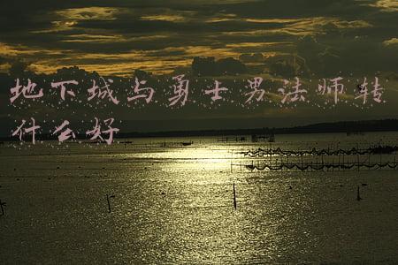 地下城与勇士男法师转什么好