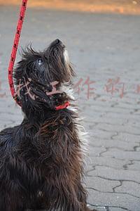 正规找工作的网站