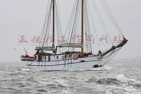 正规找工作的网站