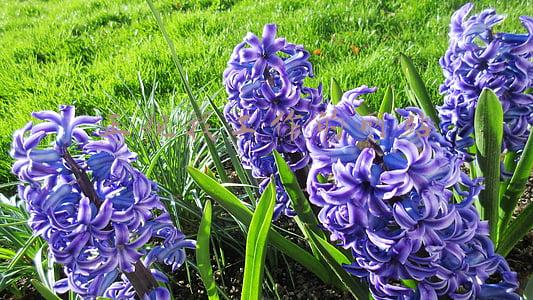 印度代购的正规网站(Shopee正式推出印度卖家官网)