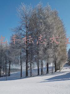 豪华跑车标志大全(100个常见车标盘点，值得收藏)