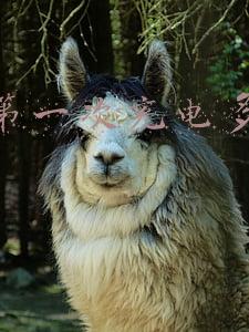 手机第一次充电多长时间