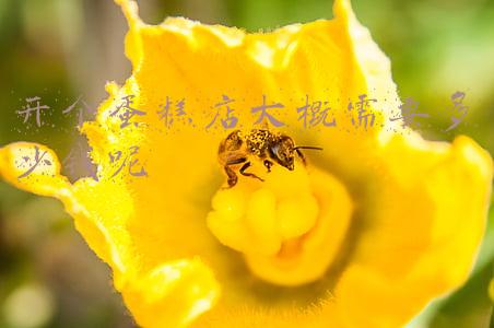 开一家蛋糕店需要投资多少（开一个蛋糕店的成本）