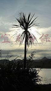 丁家宜美白保湿乳液多少钱(护手霜销售翻倍增 17种冬季护肤护理产品应季涨价)