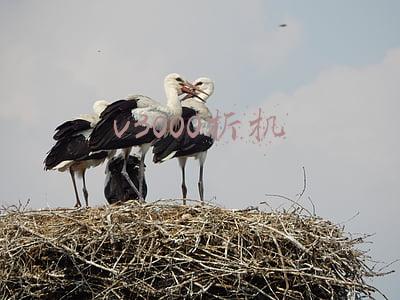 联想v4000拆机详解(R9 M375首秀！联想小新V4000本拆解)