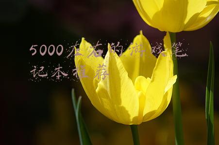 5000左右的游戏笔记本推荐