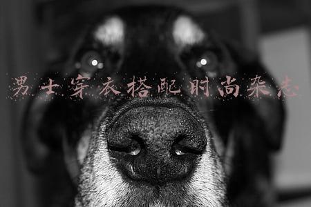 男士穿衣搭配时尚杂志