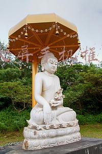 6寸以上大屏手机(骁龙888 Plus+6.8英寸大屏 红魔6S Pro参数曝光)