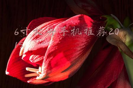 6寸lcd大屏手机(低至1799元，鸿蒙系统+5G+麒麟+6.63英寸LCD全面屏)