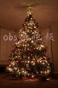 obs录视频
