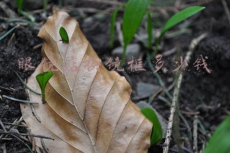 眼镜店只换镜框要钱吗（眼镜店换镜框要钱吗）