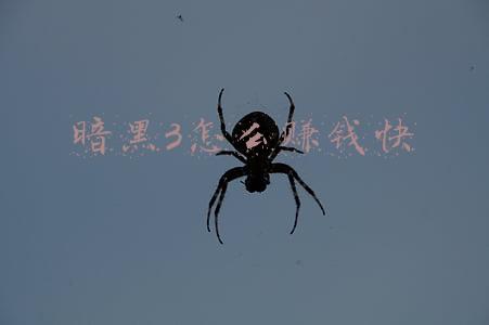 暗黑3怎么赚钱快