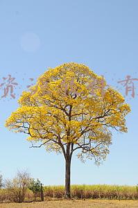 人力资源公司用什么软件(HR系统软件做得好的有哪几家？)