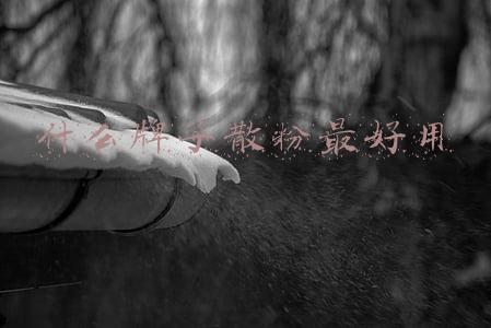 什么牌子散粉好用性价比高(什么牌子的散粉平价又好用？第一第二款不到50元就能买到)