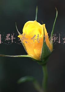 三国群英传7刷武器的地方(2022年值得期待的7款中国武器，有了这些，没人敢瞧不起)