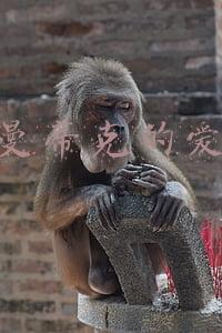 罗曼蒂克的爱情歌词(《罗曼蒂克振兴史》电影插曲 摩登兄弟英雄的泪完整歌词介绍)