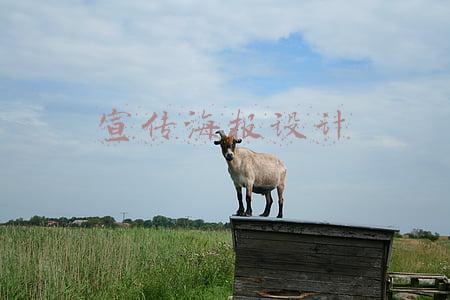 宣传海报设计