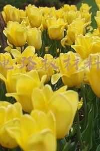 电路板材料