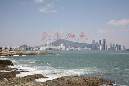 剑皇加点