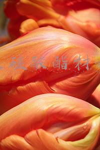 聚碳酸酯材料的水杯可以用吗(水杯材质大不同 了解清楚拒绝“杯具”)