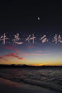 犀牛是什么软件