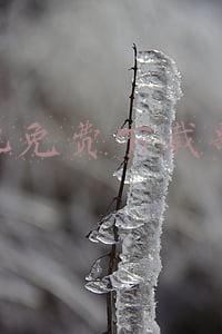 手机免费下载歌曲