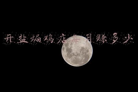 盐焗鸡开店的做法；盐焗鸡的做法