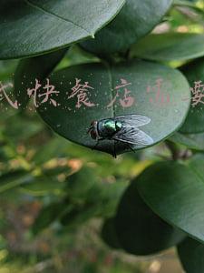 中式快餐店装修效果图-中式快餐店装修