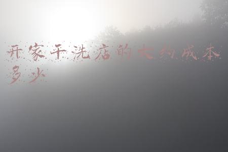 干洗店投资成本要多少-开一家干洗店的成本
