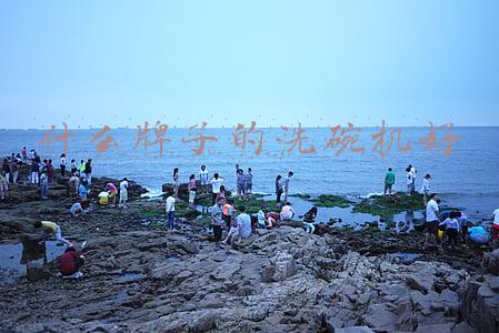 洗碗机哪个牌子最专业(洗碗机哪个牌子好？购买之前这8个品牌您得认识)