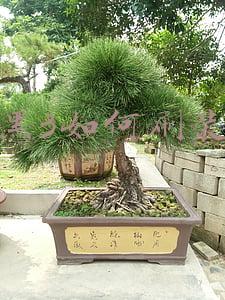 暗黑3如何刷装备