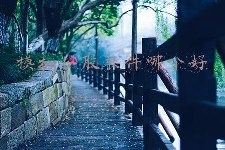 模拟炒股软件哪个好