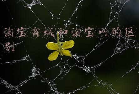淘宝商城和淘宝网的区别