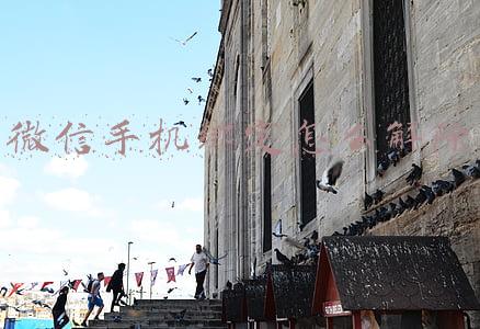 微信手机绑定怎么解除