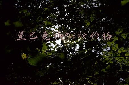 星巴克咖啡粉价格