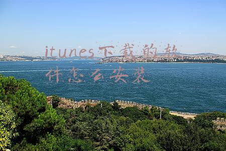 itunes下载的软件怎么安装