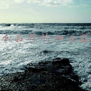 什么品牌的加湿器好