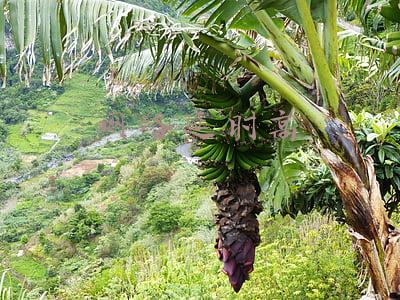 网络延迟高怎么解决(联机游戏延迟高真头疼 巧用加速器助你上分)