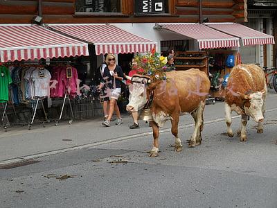 中小型网站建设的基本流程(网站建设的具体步骤流程)