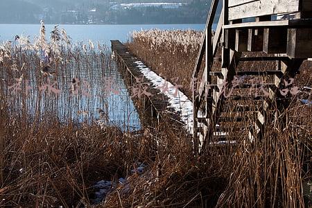补水效果最好的护肤品