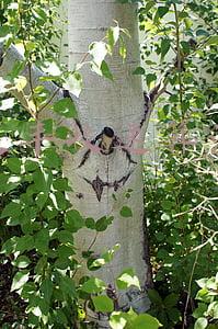 史丰收速算法口诀(大庆七旬老人创造快速计算新方法 快算法已经集结成书)