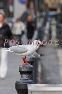 香港postal code(英语中的地址地名翻译大全)