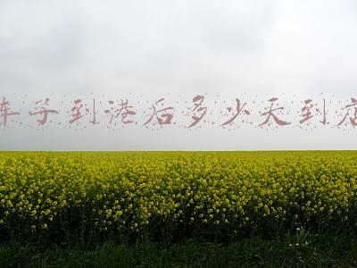 车子保养一定要去4s店;车子保养一定要去4s店保养吗