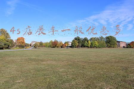 4s店的展车能不能买 4s店的展车可不可以买