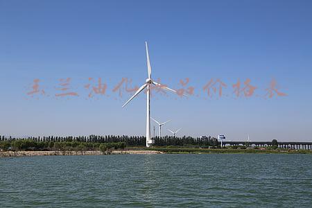 化妆品玉兰油价格图片(人手一瓶玉兰油水润滋养滋润霜)