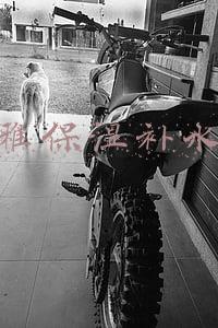 欧莱雅保湿补水套装