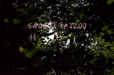 5400转和7200转哪个好(15000转是机械硬盘转速的天花板？好像不是)
