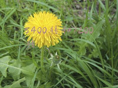 5400转和7200转读写速度(硬盘速度大比拼，结果出人意料)