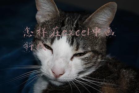 如何在excel中画斜线(Excel一步制作斜线表头！还有这些高分Excel表头技巧，看完秒会)