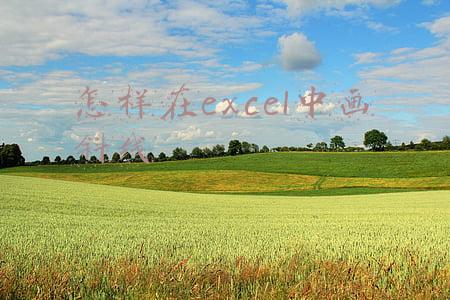 怎样在excel中画斜线